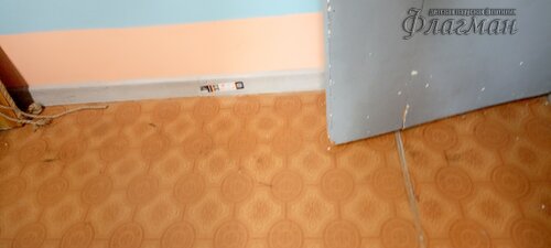 IMG_20250218_093237_332